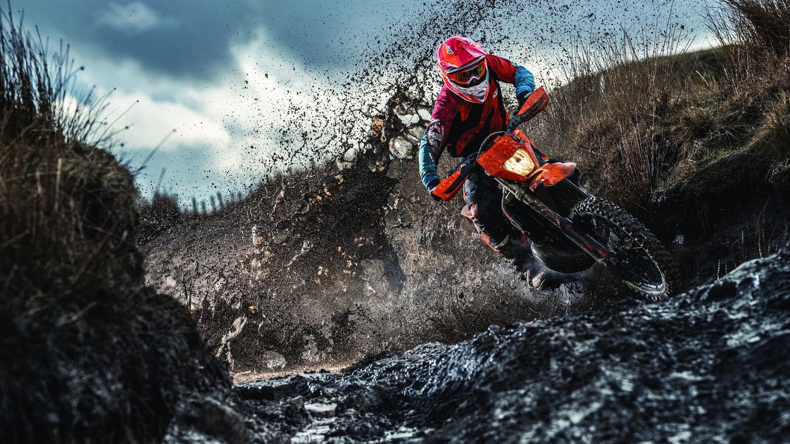 赫梅列夫斯基200蝶表现稳定有力